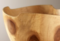 Monkey Puzzle Bowl